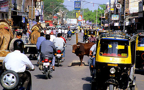rickshaw