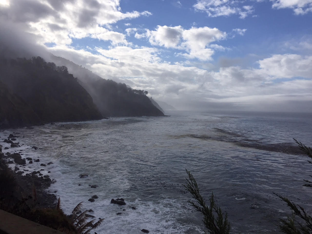 My Esalen: A Conversation with Vaishali Chadha